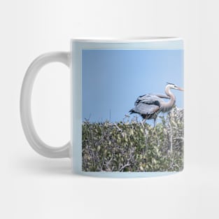 Heron Keeping Watch Over the Nest Mug